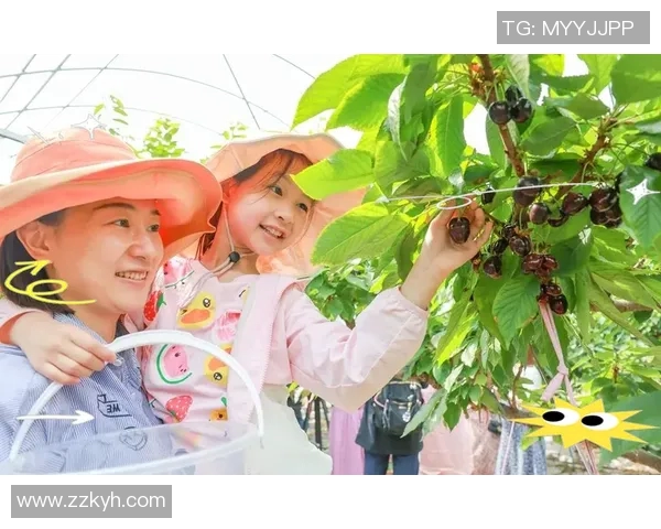 果园采摘乐趣体验：畅游丰收季节，品味自然的甘甜与欢愉