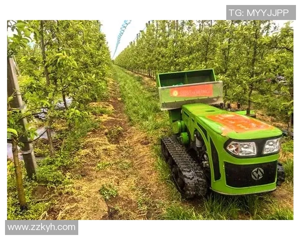 果园生态循环与可持续发展:从种植到收获的全链条探索与实践